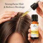 Wheat Germ Oil- An Oil with Pureness and Health Benefits