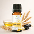 Wheat Germ Oil- An Oil with Pureness and Health Benefits