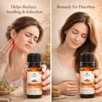 Chironji Oil by Vedsun – 100% Pure Ayurvedic Oil for Skin Nourishment & Glow