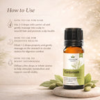 Cardamom Essential Oil by Vedsun – 100% Pure Elaichi Oil for Digestion, Stress & Breathing Support