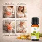 Fennel Essential Oil by Vedsun – 100% Pure Saunf Oil for Digestion, Detox & Stress Relief