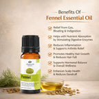 Fennel Essential Oil by Vedsun – 100% Pure Saunf Oil for Digestion, Detox & Stress Relief
