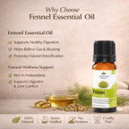 Fennel Essential Oil by Vedsun – 100% Pure Saunf Oil for Digestion, Detox & Stress Relief