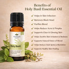 Holy Basil Oil by Vedsun – 100% Pure Tulsi Oil for Immunity, Stress & Breathing Support