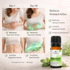 Peppermint Oil by Vedsun – 100% Pure Essential Oil for Headache, Digestion & Stress Relief