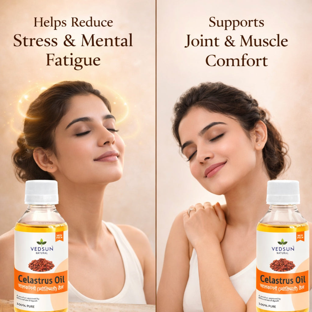 Celastrus Oil by Vedsun – 100% Pure Jyotishmati Oil for Hair Growth & Cognitive Wellness