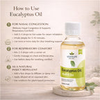Eucalyptus Oil by Vedsun – 100% Pure Essential Oil for Cold, Pain Relief & Respiratory Support