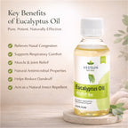 Eucalyptus Oil by Vedsun – 100% Pure Essential Oil for Cold, Pain Relief & Respiratory Support