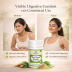 Vedsun Bel Patra Powder 100gm – 100% Pure Natural Powder for Pooja & Wellness Use