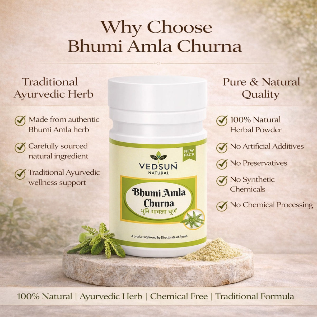 Bhumi Amla Churna by Vedsun – 100% Pure Bhui Amla Powder for Liver Detox & Health Support