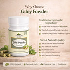 Giloy Powder by Vedsun – 100% Pure Guduchi Powder for Immunity & Detox Support
