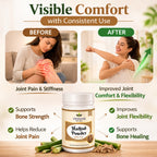 Hadjod Powder by Vedsun – 100% Pure Cissus Quadrangularis Powder for Bone Health & Strength Support