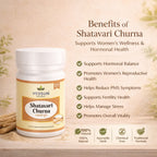 Shatavari Powder 100gm by Vedsun – 100% Pure Asparagus Racemosus Powder for Hormonal & Reproductive Wellness