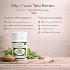 Tulsi Powder by Vedsun – 100% Pure Ocimum Sanctum Powder for Immunity & Respiratory Support