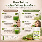 Wheat Grass Powder 100gm by Vedsun – 100% Pure Triticum Aestivum Superfood for Detox & Health Support