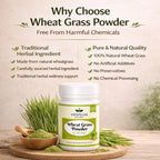 Wheat Grass Powder 100gm by Vedsun – 100% Pure Triticum Aestivum Superfood for Detox & Health Support