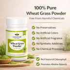 Wheat Grass Powder 100gm by Vedsun – 100% Pure Triticum Aestivum Superfood for Detox & Health Support