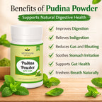 Pudina Powder by Vedsun – 100% Pure Mentha Spicata Powder for Digestion & Refreshment