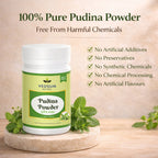 Pudina Powder by Vedsun – 100% Pure Mentha Spicata Powder for Digestion & Refreshment