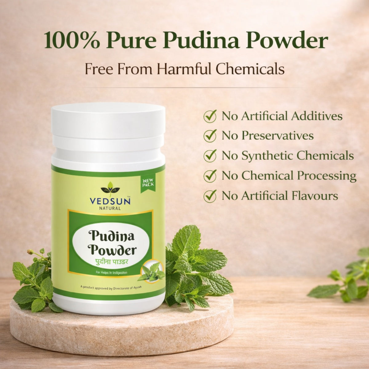 Pudina Powder by Vedsun – 100% Pure Mentha Spicata Powder for Digestion & Refreshment
