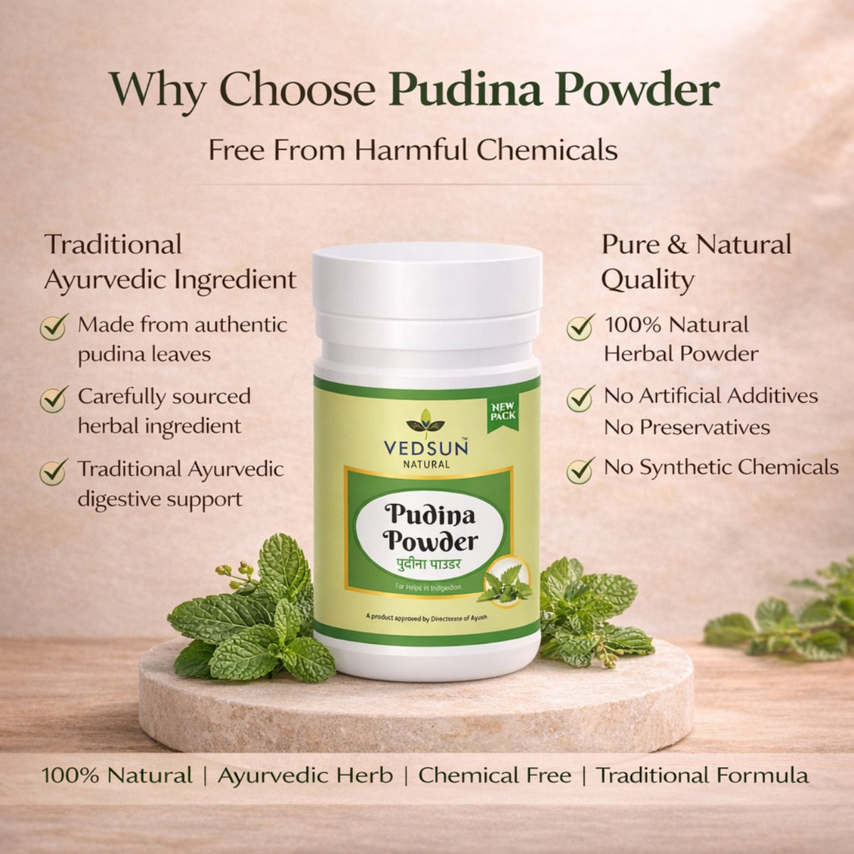 Pudina Powder by Vedsun – 100% Pure Mentha Spicata Powder for Digestion & Refreshment