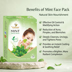Mint Face Pack by Vedsun – Pudina Face Pack for Oil Control, Acne Care & Skin Freshness
