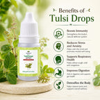 Tulsi Drops by Vedsun – Holy Basil Extract for Immunity, Cough Relief & Respiratory Support