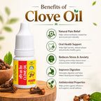 Clove Oil by Vedsun – 100% Pure Laung Oil for Toothache, Oral Care & Wellness